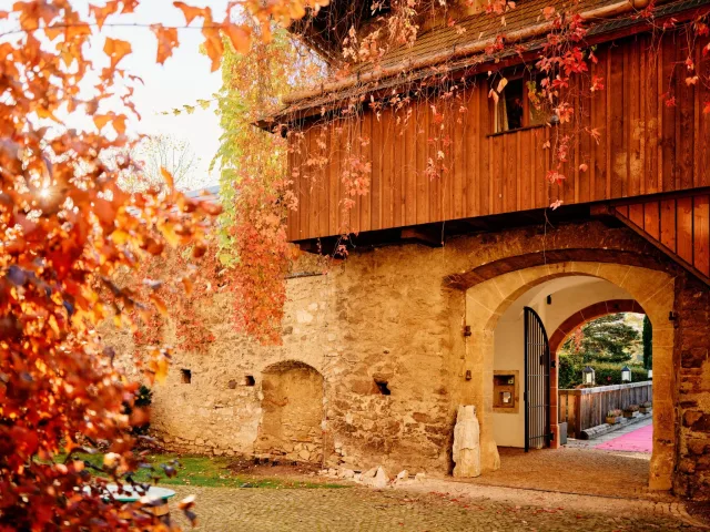Hotel Schloss Gabelhofen